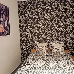 https://appartement-hyper-centre-lorient.inbrittany.com